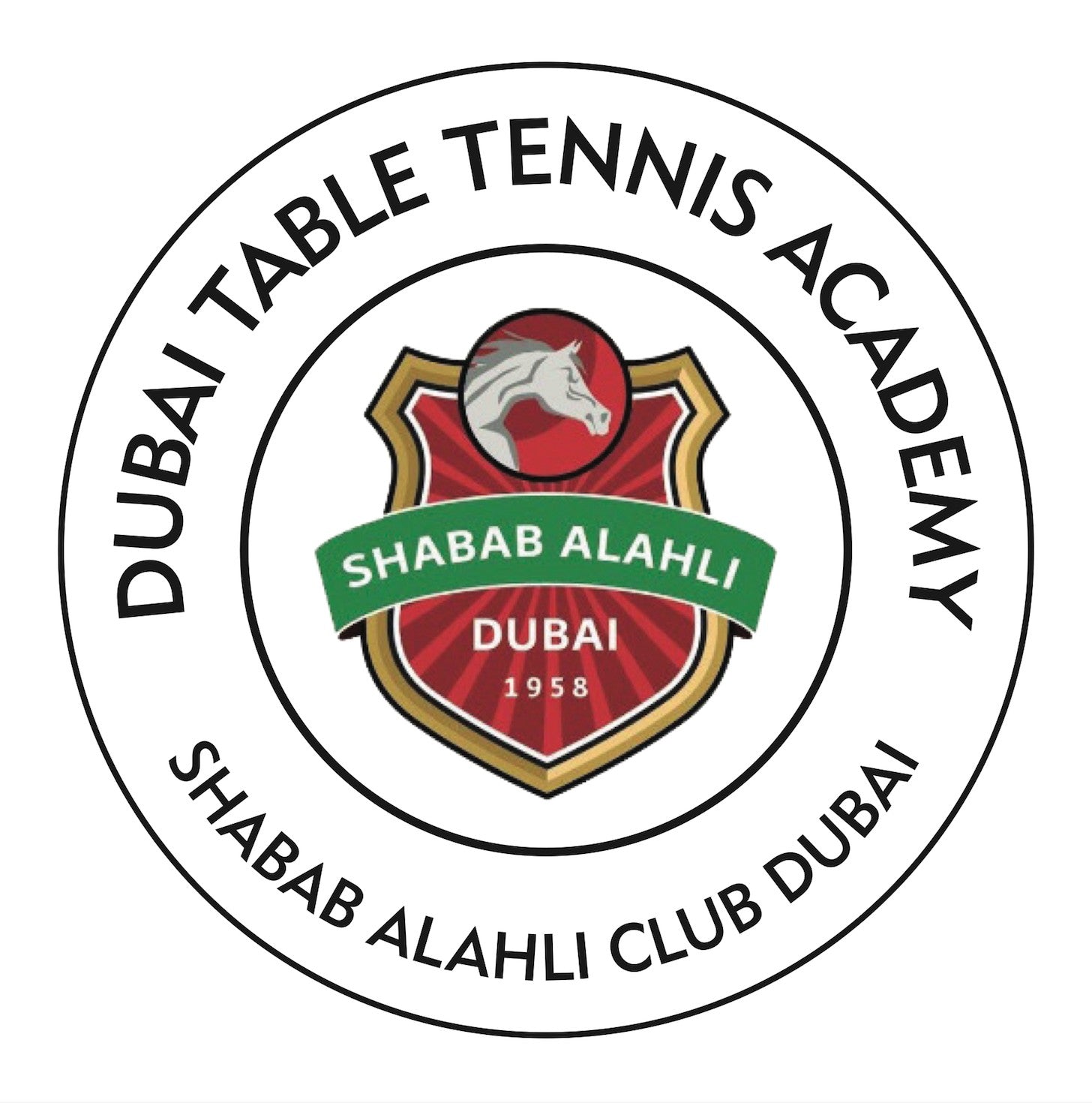Dubai Table Tennis Academy