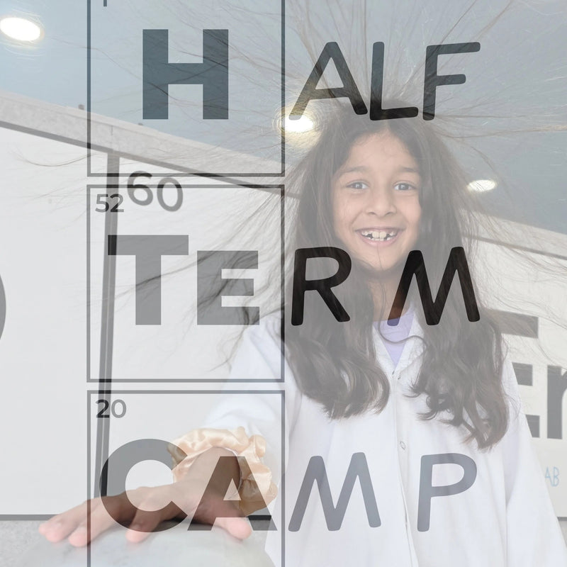 Science and Experiments Half Term Camp