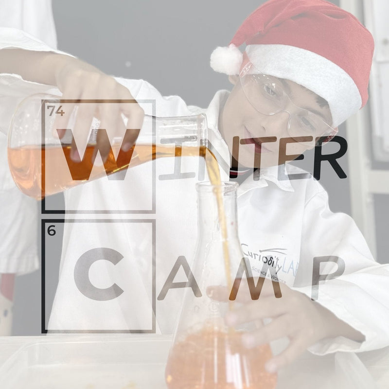 Science and Experiments Winter Camp