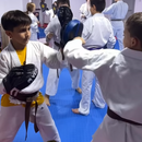 Karate Classes at Motor City