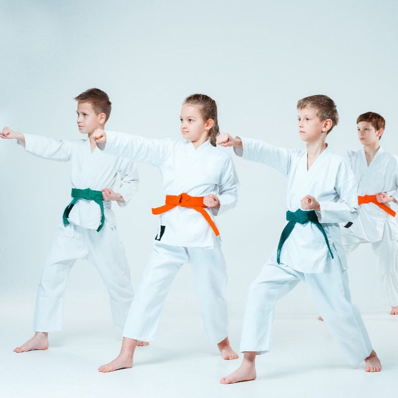 Karate Classes at New Indian Model School