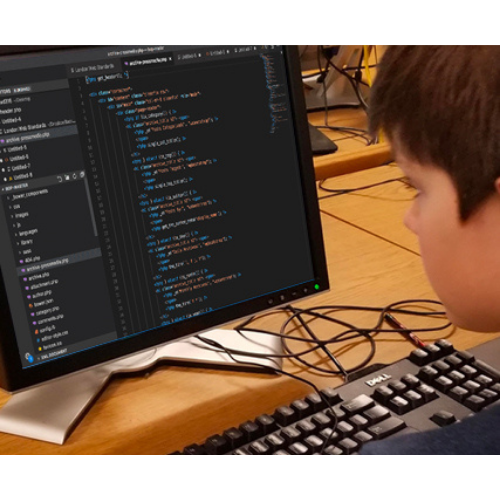 Guru Web Developer Track (Grade 9-12) Live Online Programming Course