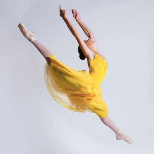 Online Ballet and Fusion Dance Classes via Zoom