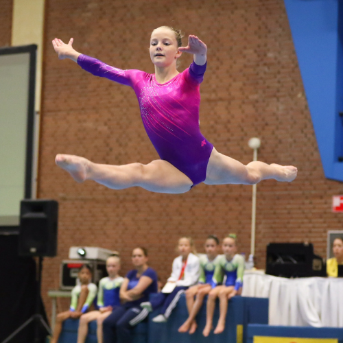 Gymnastics Classes at Shakbout City