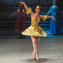 Ballet Classes Private / Semi-Private Sessions