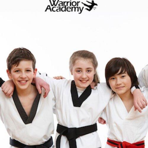 Martial Arts Classes via 'The Warrior Method'