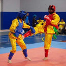 Kung Fu - Chinese Martial Arts Classes Private or Group